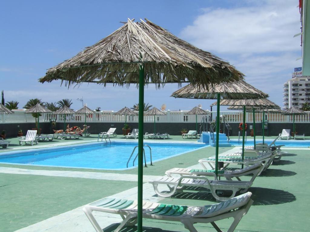 Grazioso Studio In Las Americas Playa de las Américas Eksteriør billede